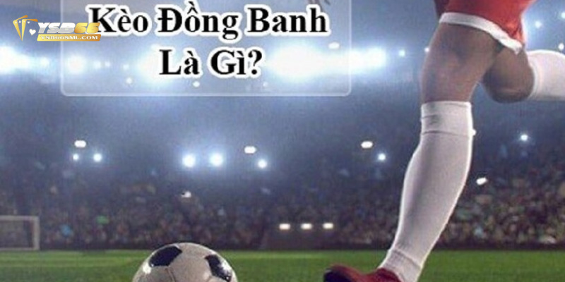 Định nghĩa cơ bản về loại kèo đồng banh