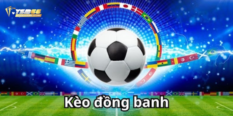 2 kinh nghiệm đặt cược kèo đồng banh hiệu quả nhất